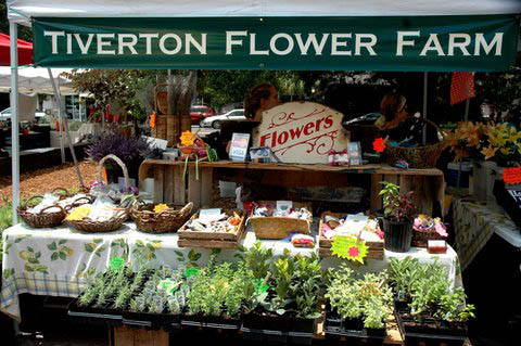 Farmer's  Market